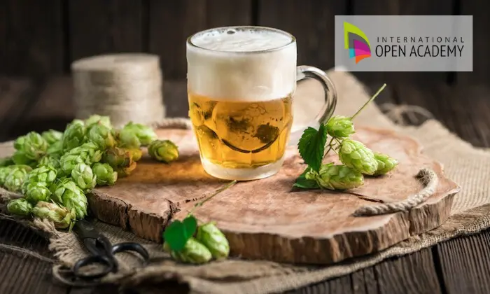 Learn Home Beer Brewing: Beginner-Friendly Brewing Course 1