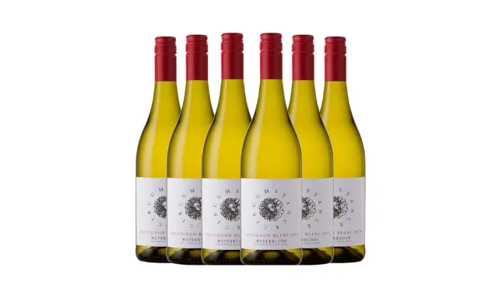 Waterkloof Circumstance Sauvignon Blanc 2024 – Biodynamic Coastal White From Stellenbosch 1